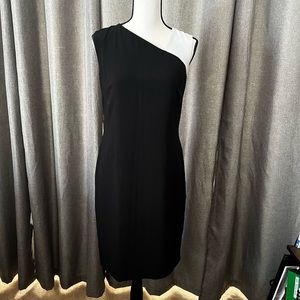 Lauren Ralph Lauren Dress Size 2